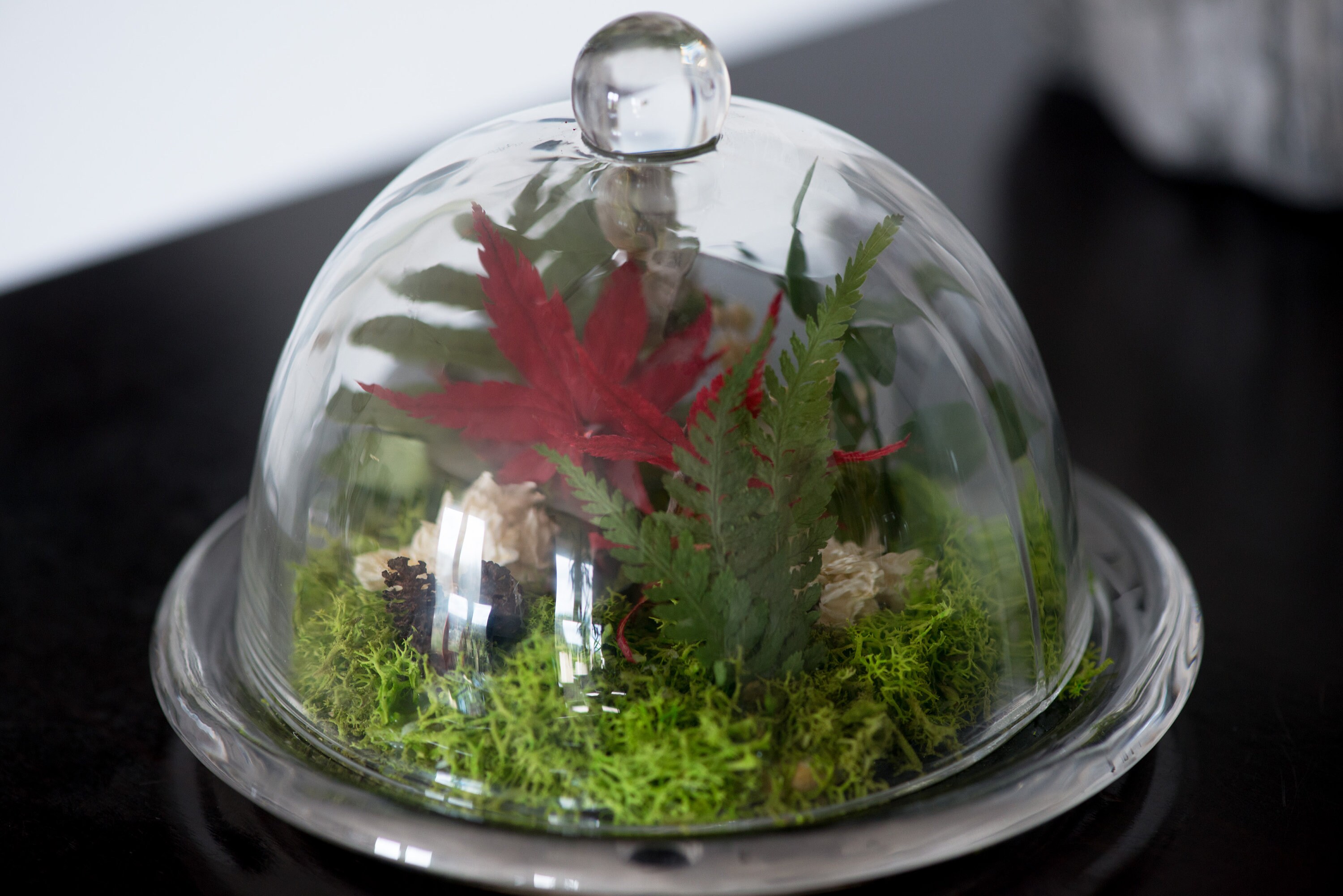 Cloche Fleurs Séchées, Fleurs Séchées, Décoration d'intérieur