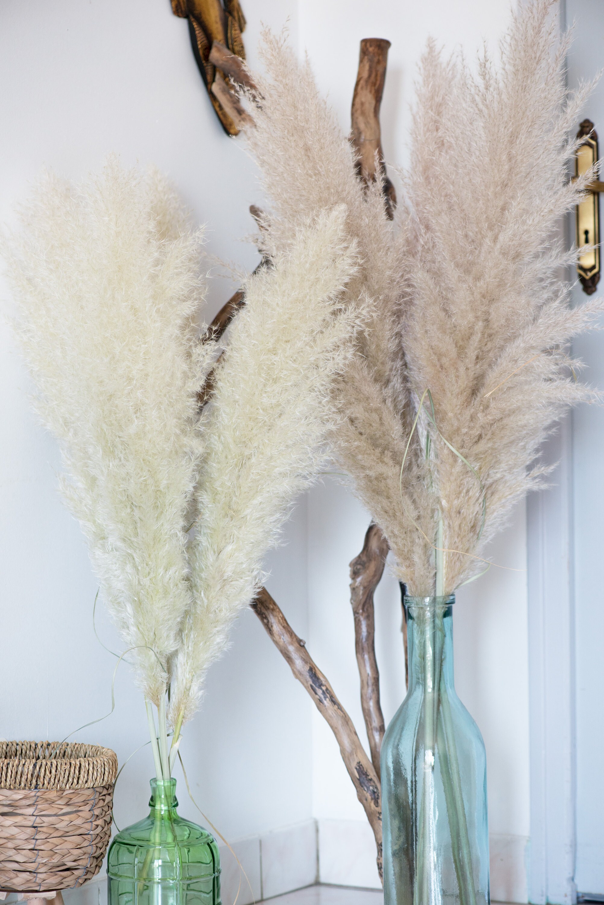 Pampas-Bouquet 5 Tiges Pampas