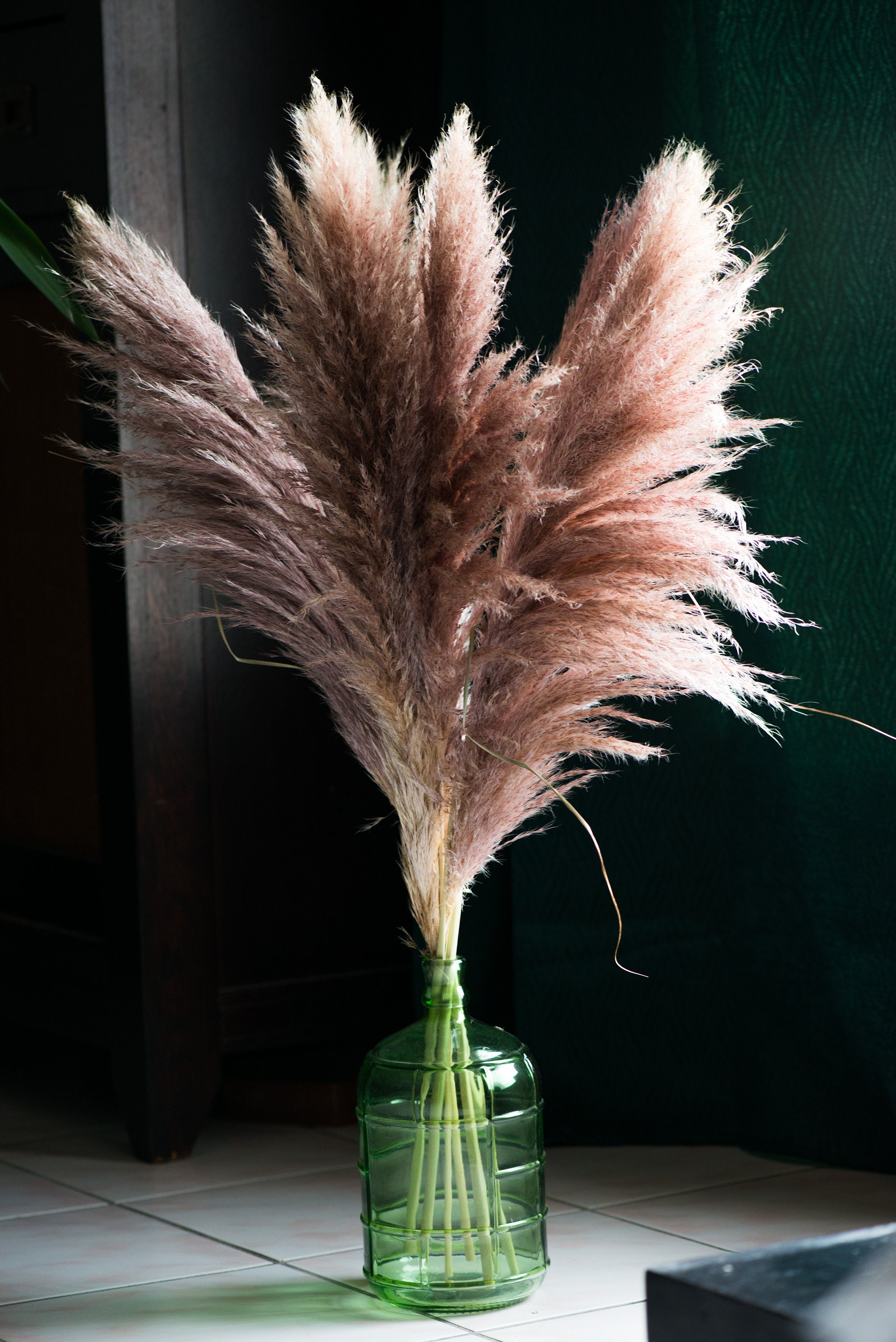 Pampa-Bouquet 6 Tiges-Pampas Roses-Fleurs Séchées-Décoration d'intérieur