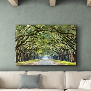 Canvaskunst Savannah GA: bemoste eik van Wormsloe Historic Site