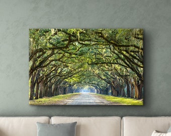 Wormsloe Historic Site, Savannah, GA | Mossy Oak Trees Big Canvas Wall Art | Living Room, Dining Room Wall Decor | GREAT Mother's Day Gift