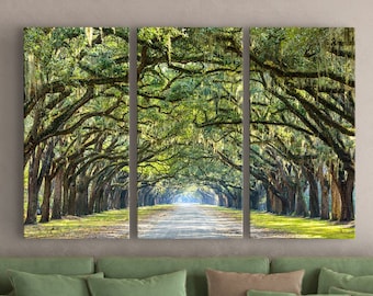 Savannah GA, Wormsloe Historic Site Gallery Wall Art Set | Mossy Trees Canvas Print Set | Poster, Photo Paper, and 1 or 3 Piece Canvas Set