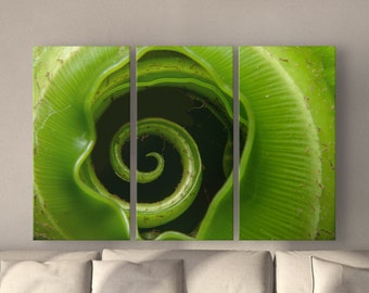 3 Piece Gallery Wall Set | 3 Piece Canvas Macro Fern Wall Art | Floral Wall Decor | Large Canvas Prints | Living Room, Bathroom Wall Decor