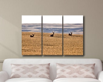 3 Piece Wall Art - Deer Gallery Wall Art - Nature Canvas Print Set - Wildlife Canvas Print - Whitetail Deer/ Mule Deer