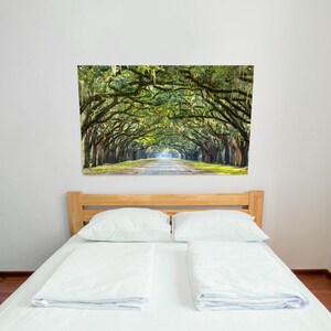 May include: A white bed with a wooden headboard and two white pillows. A large framed print of a green tree-lined path hangs on the wall behind the bed.