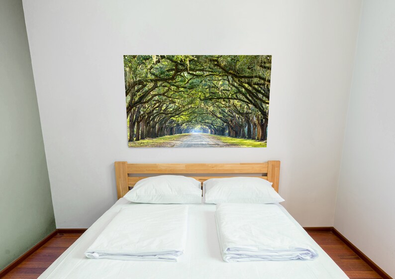 May include: A white bed with a wooden headboard and two white pillows. A large framed print of a green tree-lined path hangs on the wall behind the bed.