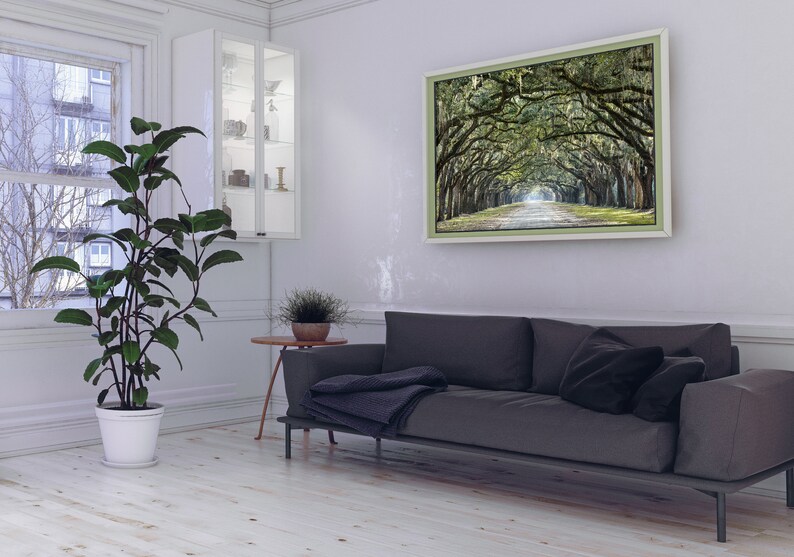 May include: A living room interior with a gray sofa, a white potted plant, a small side table, and a framed photograph of a tree-lined path. The photograph is hanging on a white wall.