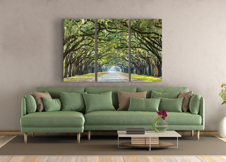 May include: A three-panel canvas print featuring a scenic view of a long, tree-lined road. The trees are draped with Spanish moss, creating a lush, green canopy over the road. The road leads to a bright, sunlit area in the distance.