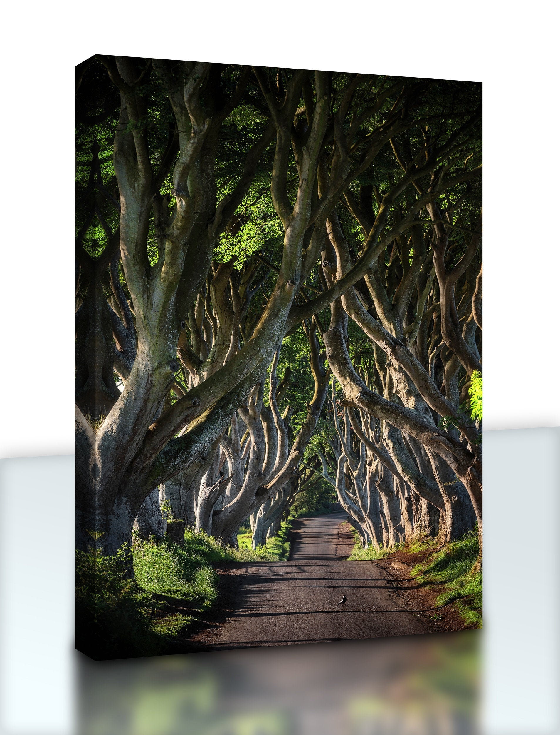 Forest Path Canvas Wall Art Woodland Wall Decor Forest Etsy