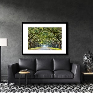 May include: A framed photograph of a long, tree-lined road with a canopy of green trees overhead. The road is lined with tall, slender trees with green leaves and branches that reach out to touch each other. The road is paved and leads to a bright, sunny area in the distance.