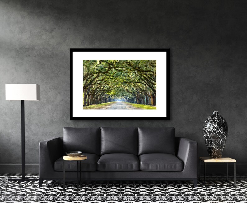 May include: A framed photograph of a long, tree-lined road with a canopy of green trees overhead. The road is lined with tall, slender trees with green leaves and branches that reach out to touch each other. The road is paved and leads to a bright, sunny area in the distance.