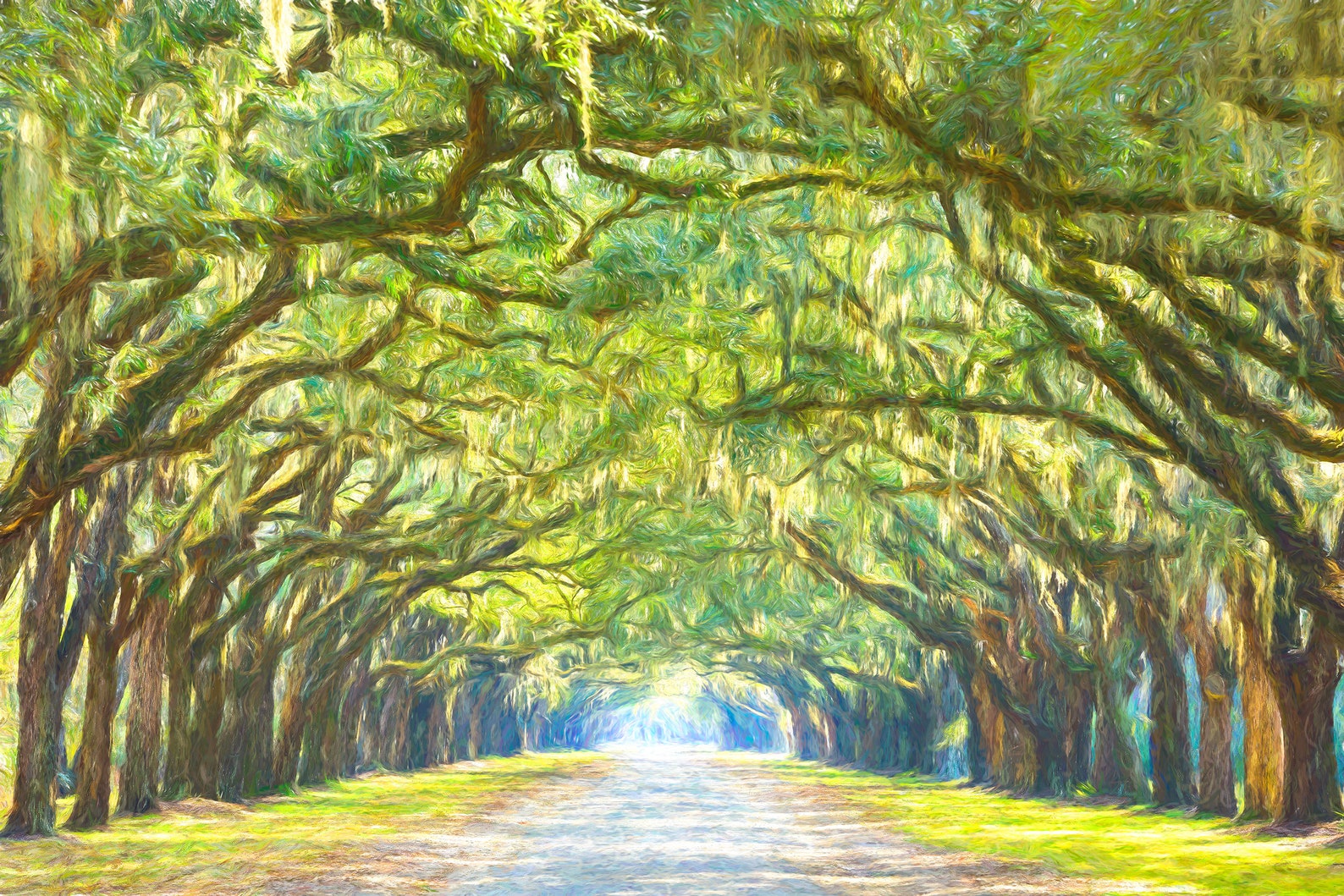 Wormsloe Plantation Painting Savannah GA Canvas Print Big Etsy Australia