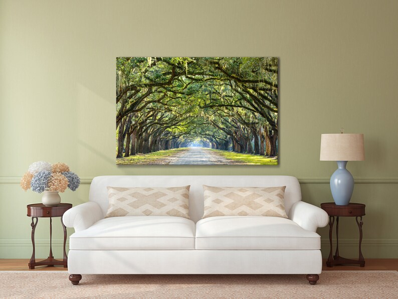 May include: A photograph of a long, tree-lined road with a canopy of green trees overhead. The road is lined with tall, slender trees with long, hanging branches. The trees are green and lush, and the road is paved with asphalt. The road is empty, and the sun is shining brightly.