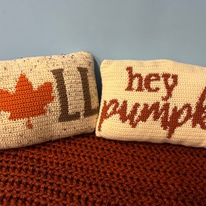 Fall pillow, Hey Pumpkin Pillow, Crochet pillow, Crochet home decor, fall/pumpkin pillows, throw pillow, autumn decorative pillow