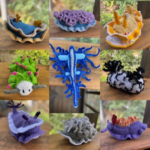 Handmade Nudibranchs Plush, Crocheted Sea Slugs, Sea Creature Stuffed Animals, Leaf Sheep, Blue Glaucus, Sea Bunny Plush