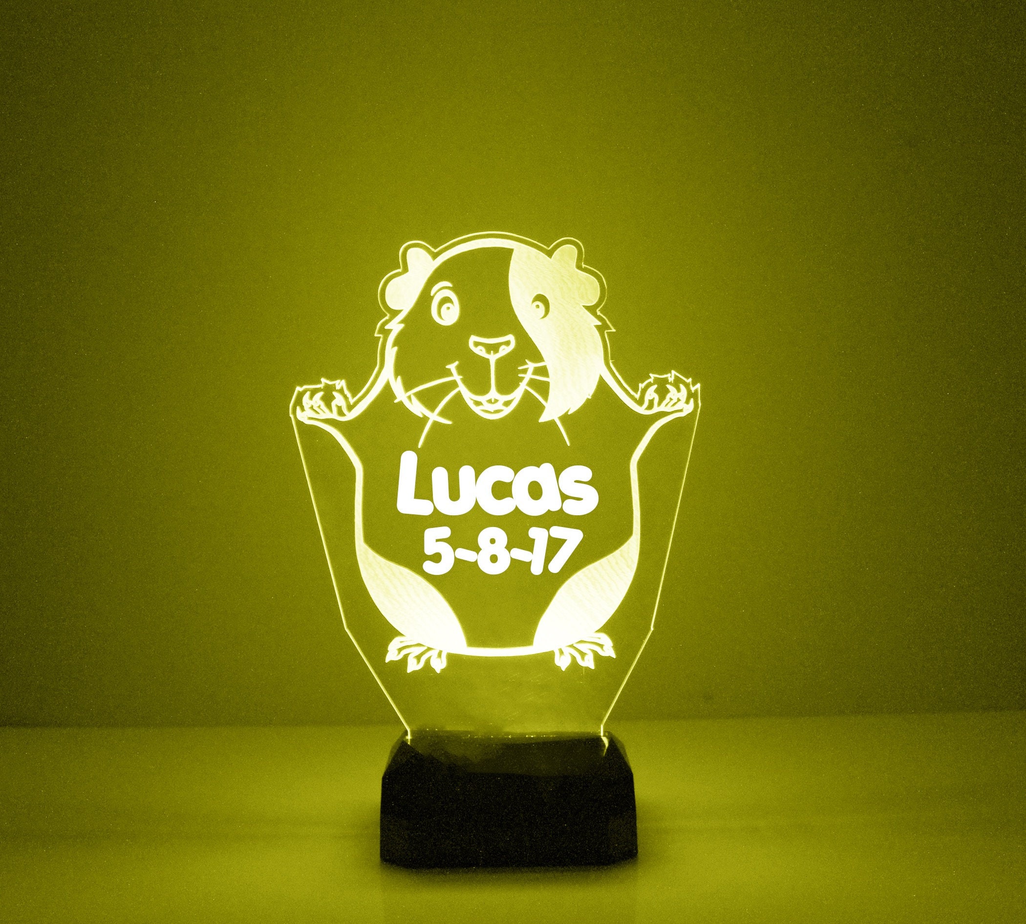 Hamster Powered Night Light