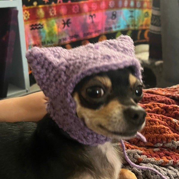 Handmade Custom Animal Hat (chihuahua, cat, small dog)