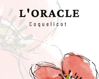 Oracle Coquelicot - Clara Cindy