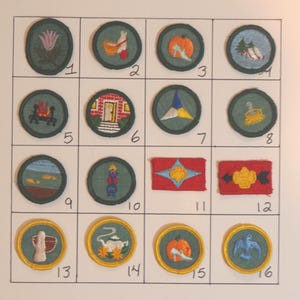 Vintage Girl Scout-badges Merit-patches afbeelding 2