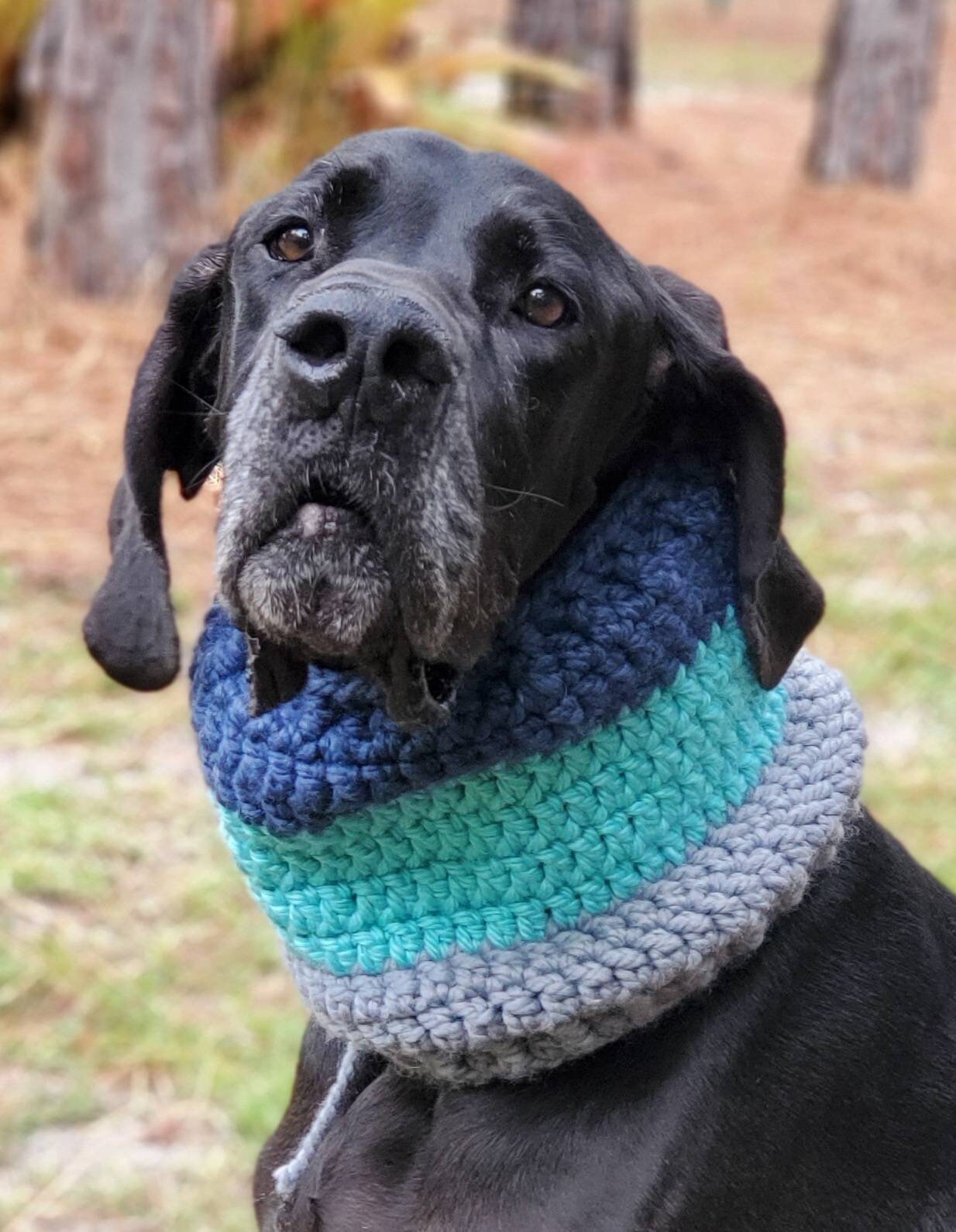great dane scarf