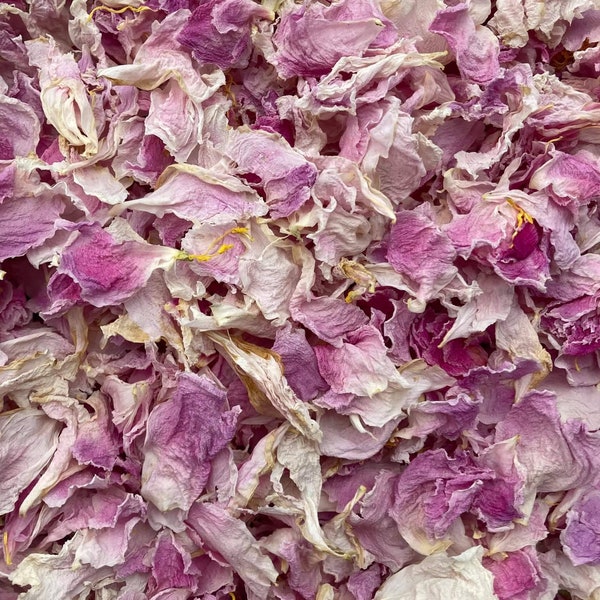 Dried Flower Petals Etsy