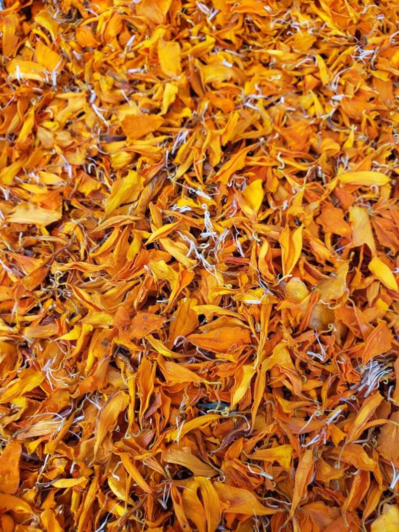 Dried Orange Marigolds