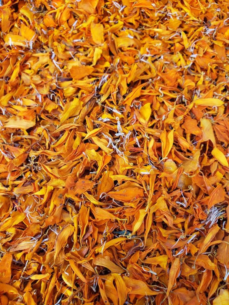 Dried Orange Marigolds image 1