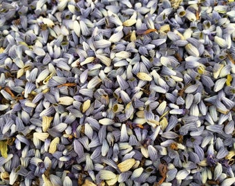 Dried Blue Salvia Petals