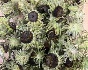 乾燥したルドベキアの花
