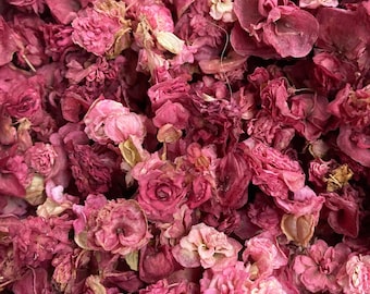 Dried pink double begonia flowers