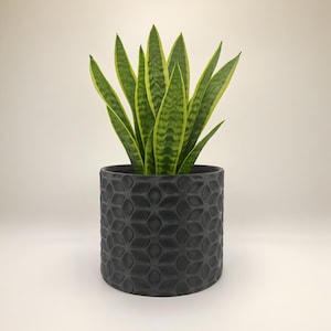 Modern Geometric Plant Pot: Textured Indoor Planter, Black or White