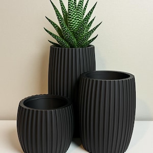以下が含まれることがあります： さまざまなサイズの黒いリブ付きプランター3つ。一番大きいプランターには、緑と白の多肉植物が入っています。プランターは円筒形で、垂直の溝があり、テクスチャード加工された表面を作り出しています。一番小さいプランターが手前にあります。