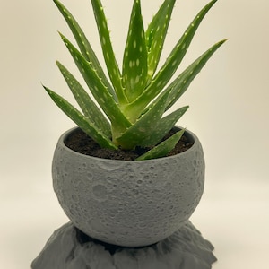 May include: A potted aloe vera plant with green, speckled leaves. The plant is in a gray, textured, spherical pot, sitting on a matching gray, rock-like base. The background is a solid, neutral color.