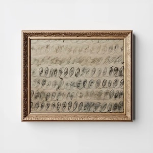 Puede incluir: Una pintura abstracta enmarcada con un marco dorado. La pintura presenta un patrón de formas negras y blancas sobre un fondo beige.