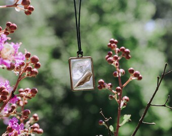 Clear Quartz and Dried Sage Pendant