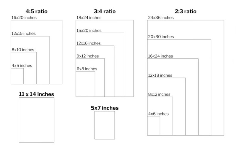 Puede incluir: Diagrama que muestra varios tama&ntilde;os y relaciones de aspecto rectangulares, incluyendo 4:5, 3:4 y 2:3. Los tama&ntilde;os se enumeran en pulgadas, como 16x20 pulgadas, 12x15 pulgadas y 8x10 pulgadas. Tama&ntilde;os adicionales incluyen 11x14 pulgadas y 5x7 pulgadas.