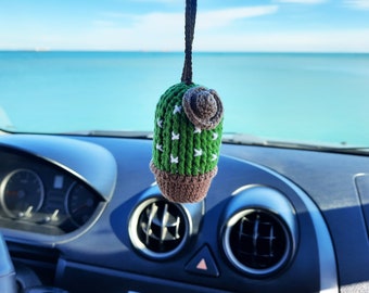 Cactus car decor discount