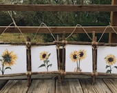 Wood Collage Kit, Frame Set,4x6 Frame,5x7 Frame,Collage Frames,Rustic Frames,Rustic Frame Collage,Driftwood Frames,Sunflower art