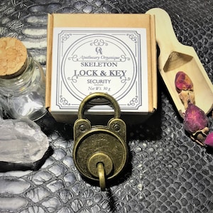 Skeleton Key Lock & Key | Vintage Style Working Set