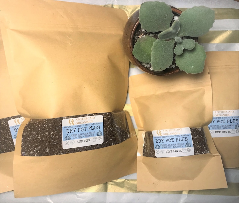 May include: Several brown paper bags containing soil mix, labeled "Dry Pot Plus" and "Mini Bag". A small potted succulent plant sits in a brown pot. The soil mix is dark and appears to be a blend of compost and minerals.