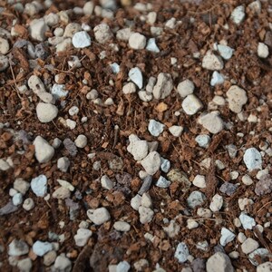May include: Close-up of a soil mix with various components. The mix includes light-colored, irregularly shaped rocks, small white and blue stones, and dark brown soil. The texture is coarse and granular, suitable for plants.