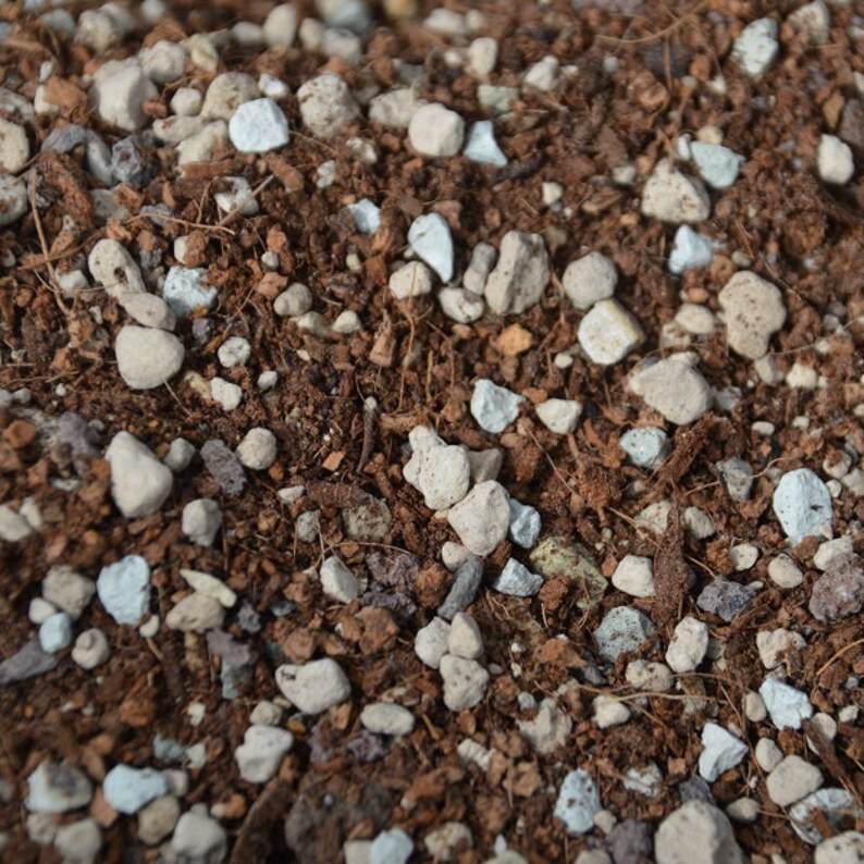 May include: Close-up of a soil mix with various components. The mix includes light-colored, irregularly shaped rocks, small white and blue stones, and dark brown soil. The texture is coarse and granular, suitable for plants.