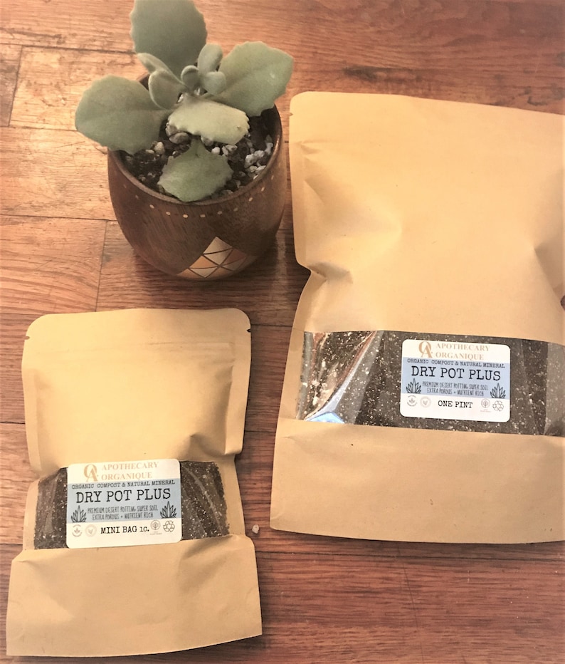 May include: An arrangement featuring a small potted succulent plant and two brown paper bags of potting mix. The bags are labeled "Dry Pot Plus" and "Mini Bag 10." The larger bag is labeled "One Pint."