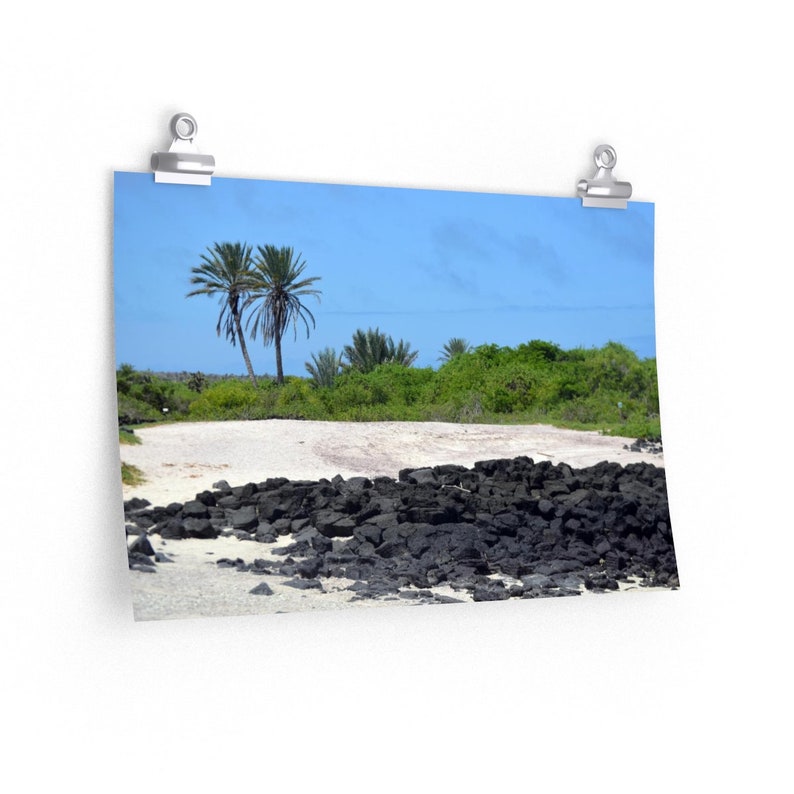 Ecuador Print of Playa de la Estacion on Isla Santa Cruz in Galapagos