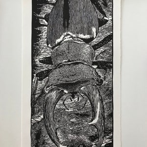 Lucanus Cervus Large Editioned Linocut Print // White or Cream