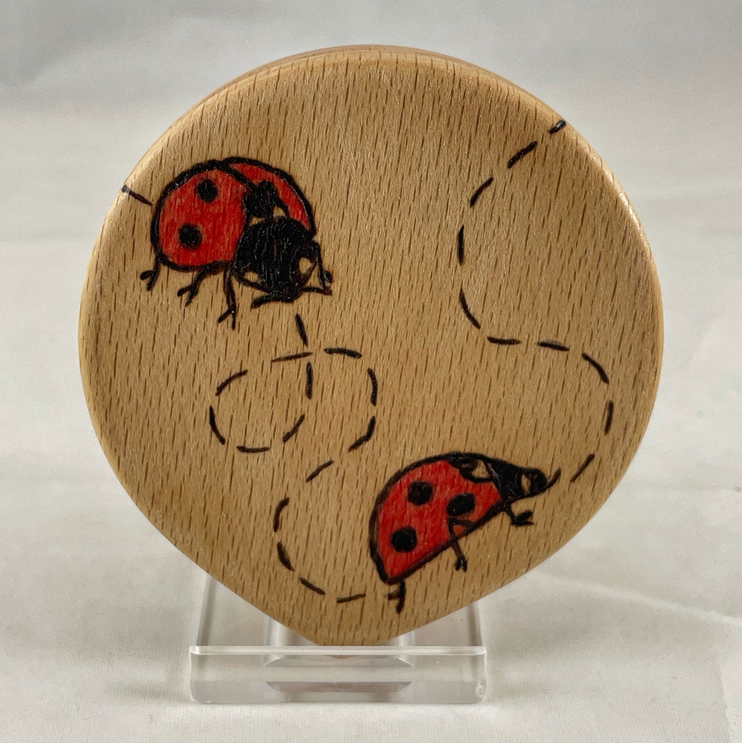 Lady Bugs Wood Burned Sliding Travel Mirror Pyrography/wood - Etsy