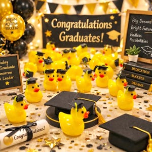 Mini resin graduation ducks class 2026