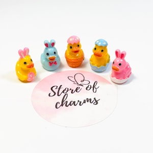 May include: Five colorful Easter-themed figurines: two ducks, two bunnies, and one duckling. The ducks are yellow, orange, and blue, while the bunnies are pink and blue. The figurines are arranged around a pink and white circular sticker with the text "Store of charms".