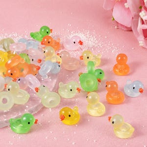 May include: A collection of small, translucent resin charms shaped like ducks floating in inner tubes. The charms come in various colors including green, orange, yellow, pink, and blue, each featuring a tiny black dot for an eye.