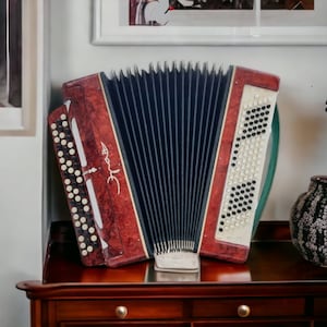 Accardion Era, vintage, USSR, Working accardion, musical instrument, 120 basses